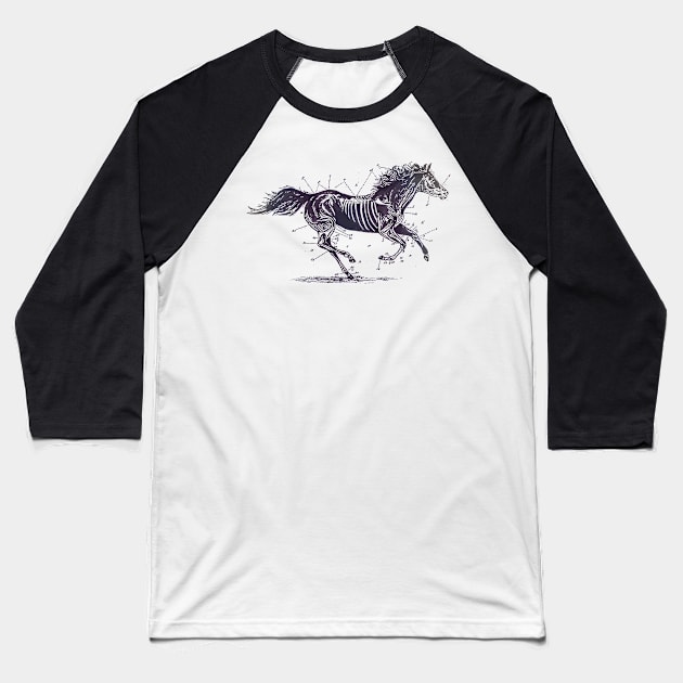 troubadours horse Baseball T-Shirt by StoneSoccer